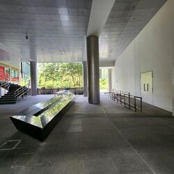 Synapse (D5), Retail #502879921